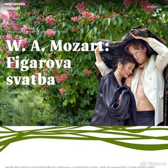 Smetanova Litomyšl - Figarova svatba, 4 vstupenky