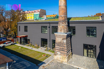 Pronájem kancelářského prostoru 64,2 m², Tovární, Český Těší