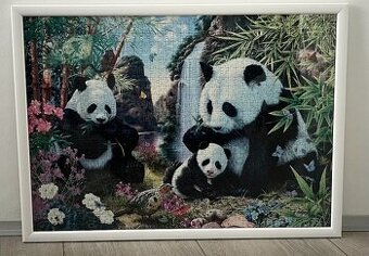 Obraz z puzzle - panda