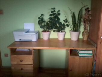 PSACÍ STŮL - BOROVICE