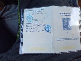 Motorový člun+ motor Selva