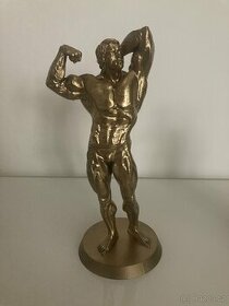 Arnold Schwarzenegger - zlatá soška