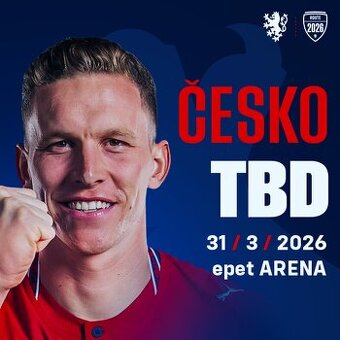 Česko Dánsko Vstupenky