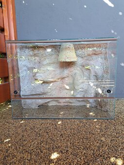 Terarium 63×47×25