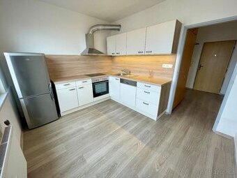 Pronájem bytu 1+1, 36 m2, Písek, Dr. M. Horákové