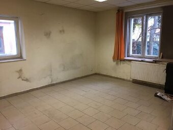 pronajmu 1+1+koupelna+dvorek Městec Králové