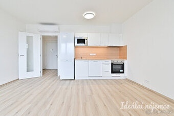 Pronájem bytu 1+kk, Jižní, Horní Heršpice, 15500 Kč/měs, 33 