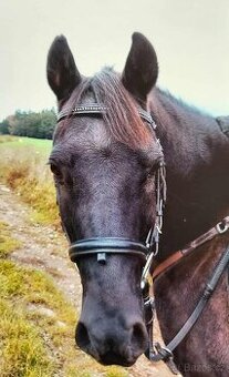 Prodám více věcí