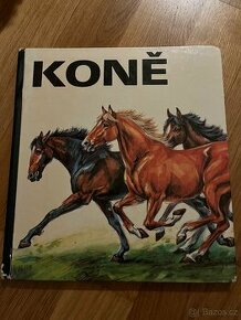 Kniha koně