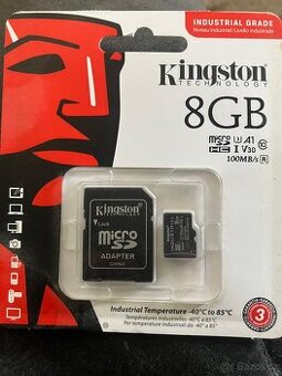 8gb kindston