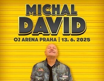 MICHAL DAVID