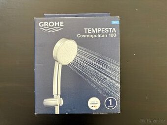 Grohe Tempesta Cosmopolitan 100 - 1