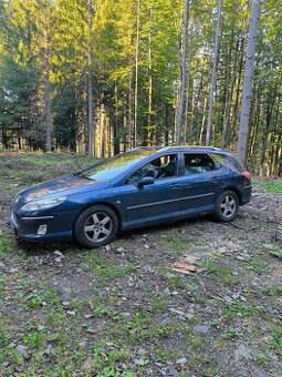 Peugeot 407 sw 2.0 hdi