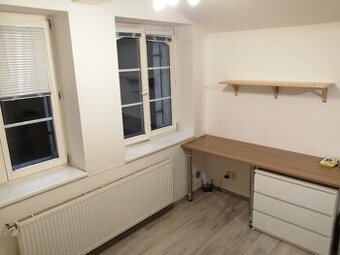 Pronájem 1+kk, ulice Údolní, centrum, 32 m2, klidný - 1