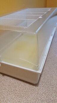 Plastový box na morce/kralika