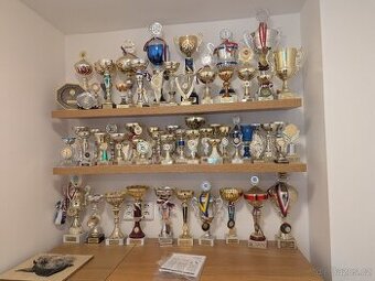 Sportovní trofeje - pohary