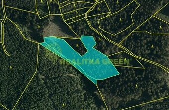 Prodej lesních pozemků, k.ú. Hovězí, okr. Vsetín, CP 9912 m2