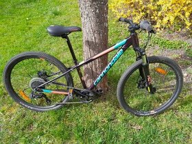 Cannondale Trail 24" Girls - 1