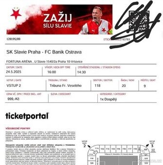 Slavie - Baník