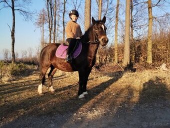 Pony WPBR
