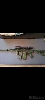 AR 15