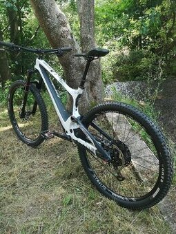 Bold Unplugged V1 (Scott) Axs