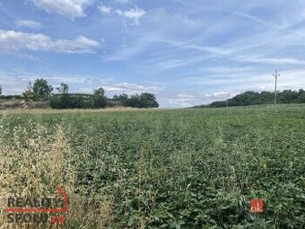 Prodej, pozemky/bydlení, 788 m2, Hustopeče, Břeclav [ID 7392