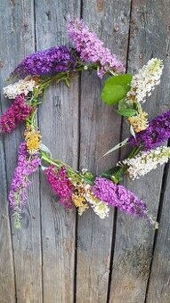 Motýlí keř komule 150cm