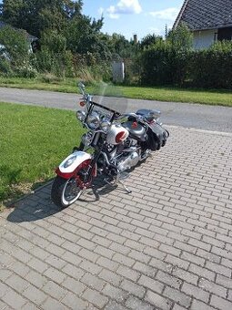 Prodám Harley Davidson Springer