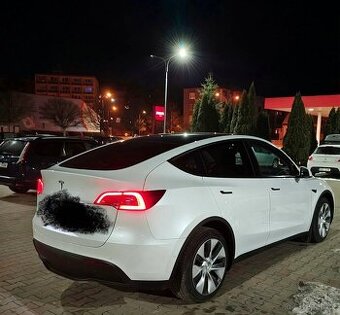 Nabízím práci řidiče na Tesla Y