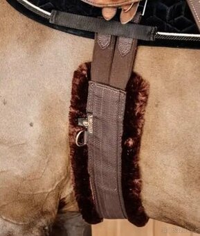 Podbřišník Kentucky 135