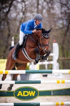 Valach do vyššího sportu