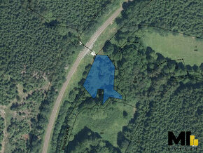 Prodej lesního pozemku o velikosti 1 292 m2 v obci Dolní Kru