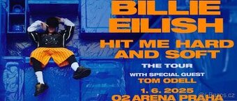 Billie Eilish VIP klubové patro s rautem