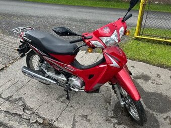 Hsun 100 - 1