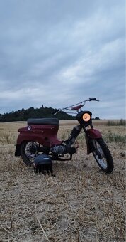 Jawa Pionyr 21