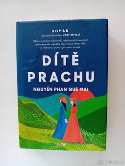Dítě prachu - Nguyen Phan Que Mai