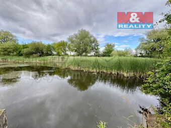 Pronájem vodní plochy, 6119 m², Žleby - Zehuby