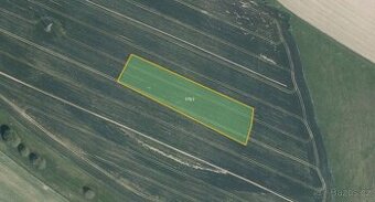 Zemědělská půda, prodej, Nová Ves u Světlé, Havlíčkův Brod