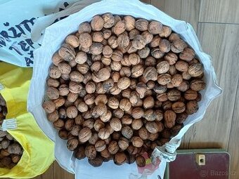 Vlašské ořechy prodej