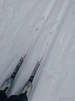 Běžky Fisher Spirit crown