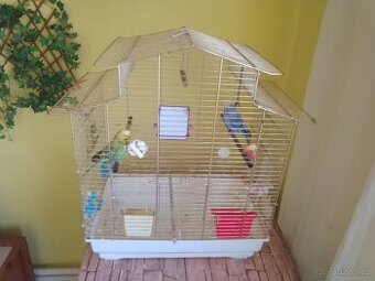 Prodám dvě andulky plus klec