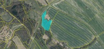 Prodám lesní pozemek v k.ú. Blíževedly - 1