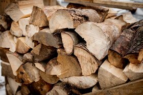 Palivové dřevo Měkké - Jehličnaté