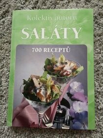 Saláty - 700 receptů