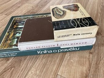 Kniha o pravěku, Lovci mamutů, Naše nerosty - 1