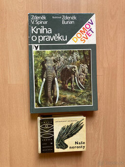Kniha o pravěku-Špinar-ilust.Z.Burian, Naše nerosty
