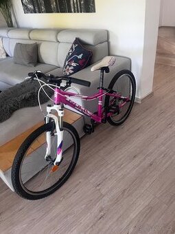 Dejte kolo 24’’