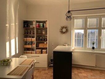 Pronájem bytu 1 + 1 v Olomouci