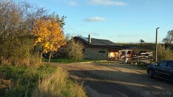 ustájení koní 24/7